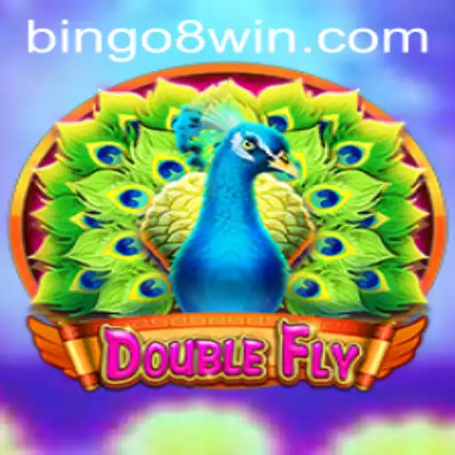 Discovering DoubleFly: The Innovative Gaming Experience with Bingo8