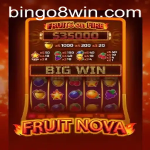 Exploring the World of FruitNova and Bingo8